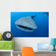 Single Whale Shark Swimming Wall Decal Design 5