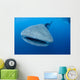 Single Whale Shark Swimming Wall Decal Design 5