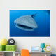 Single Whale Shark Swimming Wall Decal Design 5