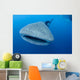 Single Whale Shark Swimming Wall Decal Design 5