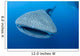 Single Whale Shark Swimming Wall Decal Design 5