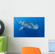 Single Whale Shark Swimming Wall Decal Design 4
