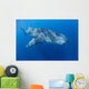Single Whale Shark Swimming Wall Decal Design 4