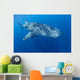 Single Whale Shark Swimming Wall Decal Design 4