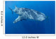 Single Whale Shark Swimming Wall Decal Design 4