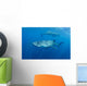 Two Whale Sharks Feeding Wall Decal Design 2
