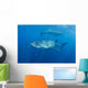 Two Whale Sharks Feeding Wall Decal Design 2