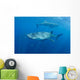 Two Whale Sharks Feeding Wall Decal Design 2