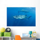 Two Whale Sharks Feeding Wall Decal Design 2