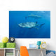 Two Whale Sharks Feeding Wall Decal Design 2