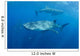 Two Whale Sharks Feeding Wall Decal Design 2