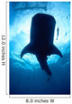 Whale Shark Silhouette Cenderawasih Wall Decal Design 2