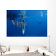 Diver Interacts with Whale Wall Decal Design 3