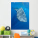 Single Whale Shark Swimming Wall Decal Design 3