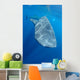 Single Whale Shark Swimming Wall Decal Design 3