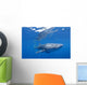 Single Whale Shark Swimming Wall Decal Design 2