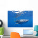Single Whale Shark Swimming Wall Decal Design 2