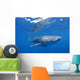 Single Whale Shark Swimming Wall Decal Design 2