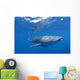 Single Whale Shark Swimming Wall Decal Design 2