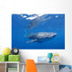 Single Whale Shark Swimming Wall Decal Design 2