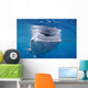 Whale Shark Feeds Surface Wall Decal Design 6