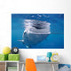 Whale Shark Feeds Surface Wall Decal Design 6