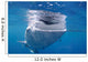 Whale Shark Feeds Surface Wall Decal Design 6