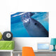 Whale Shark Feeds Surface Wall Decal Design 5