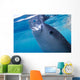 Whale Shark Feeds Surface Wall Decal Design 5