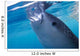 Whale Shark Feeds Surface Wall Decal Design 5