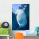 Whale Shark Feeds Surface Wall Decal Design 4