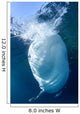 Whale Shark Feeds Surface Wall Decal Design 4