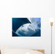 Whale Shark Feeds Surface Wall Decal Design 3