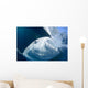 Whale Shark Feeds Surface Wall Decal Design 3