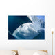Whale Shark Feeds Surface Wall Decal Design 3