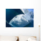 Whale Shark Feeds Surface Wall Decal Design 3
