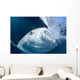Whale Shark Feeds Surface Wall Decal Design 3