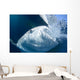 Whale Shark Feeds Surface Wall Decal Design 3