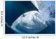 Whale Shark Feeds Surface Wall Decal Design 3