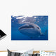 Close-up Photo Whale Shark Wall Decal Design 2