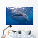 Close-up Photo Whale Shark Wall Decal Design 2
