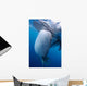 Whale Shark Feeds Surface Wall Decal Design 2