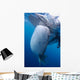 Whale Shark Feeds Surface Wall Decal Design 2