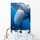 Whale Shark Feeds Surface Wall Decal Design 2