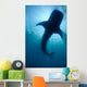 Whale Shark Silhouette Cenderawasih Wall Decal Design 1