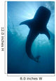 Whale Shark Silhouette Cenderawasih Wall Decal Design 1