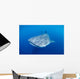Single Whale Shark Swimming Wall Decal Design 1