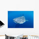Single Whale Shark Swimming Wall Decal Design 1