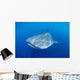 Single Whale Shark Swimming Wall Decal Design 1