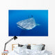 Single Whale Shark Swimming Wall Decal Design 1